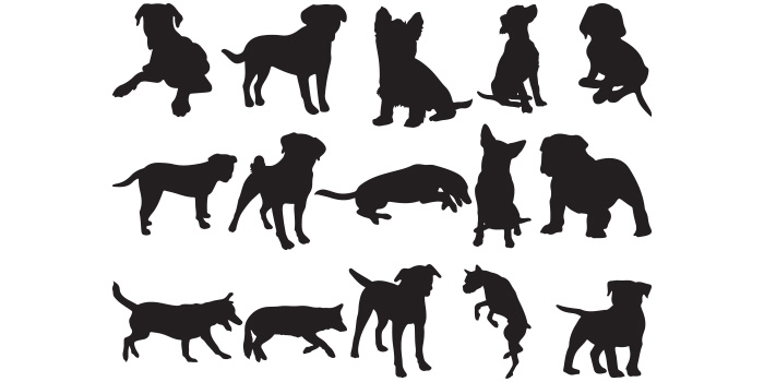Group of dogs silhouettes on a white background.
