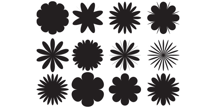 A selection of unique images of black color assorted flowers.