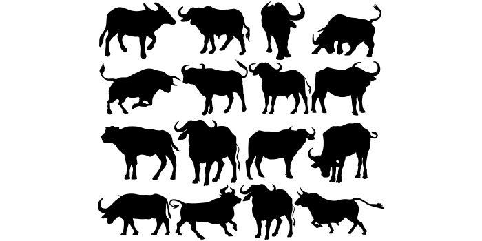 Set of twelve silhouettes of bulls.