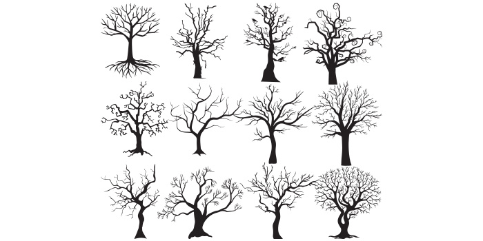 Pack of vector unique images of branching trees silhouettes.