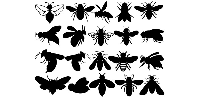 Set of vector exquisite images of silhouettes of bees.