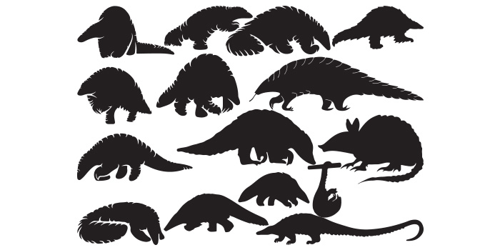 Collection of silhouettes of dinosaurs.