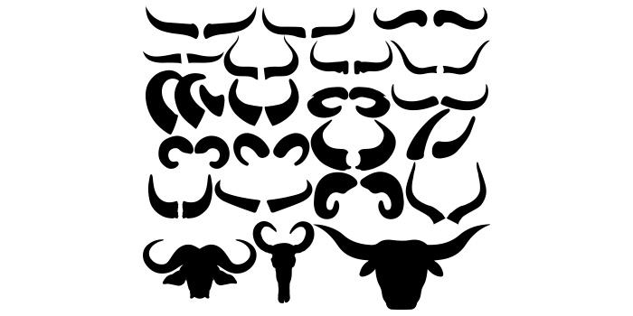 Black and white drawing of a bull's head.