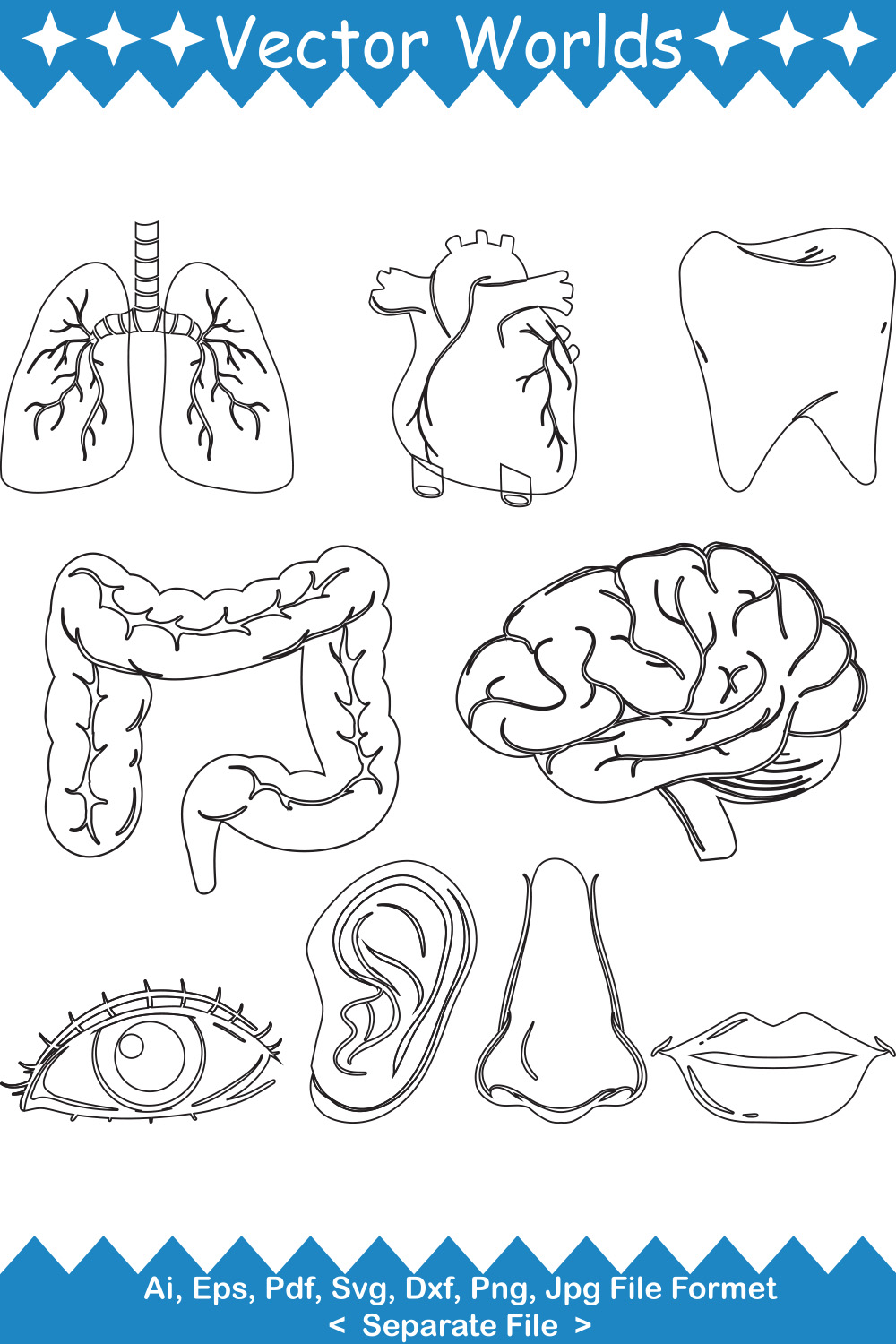 Pack of vector gorgeous images of body parts.