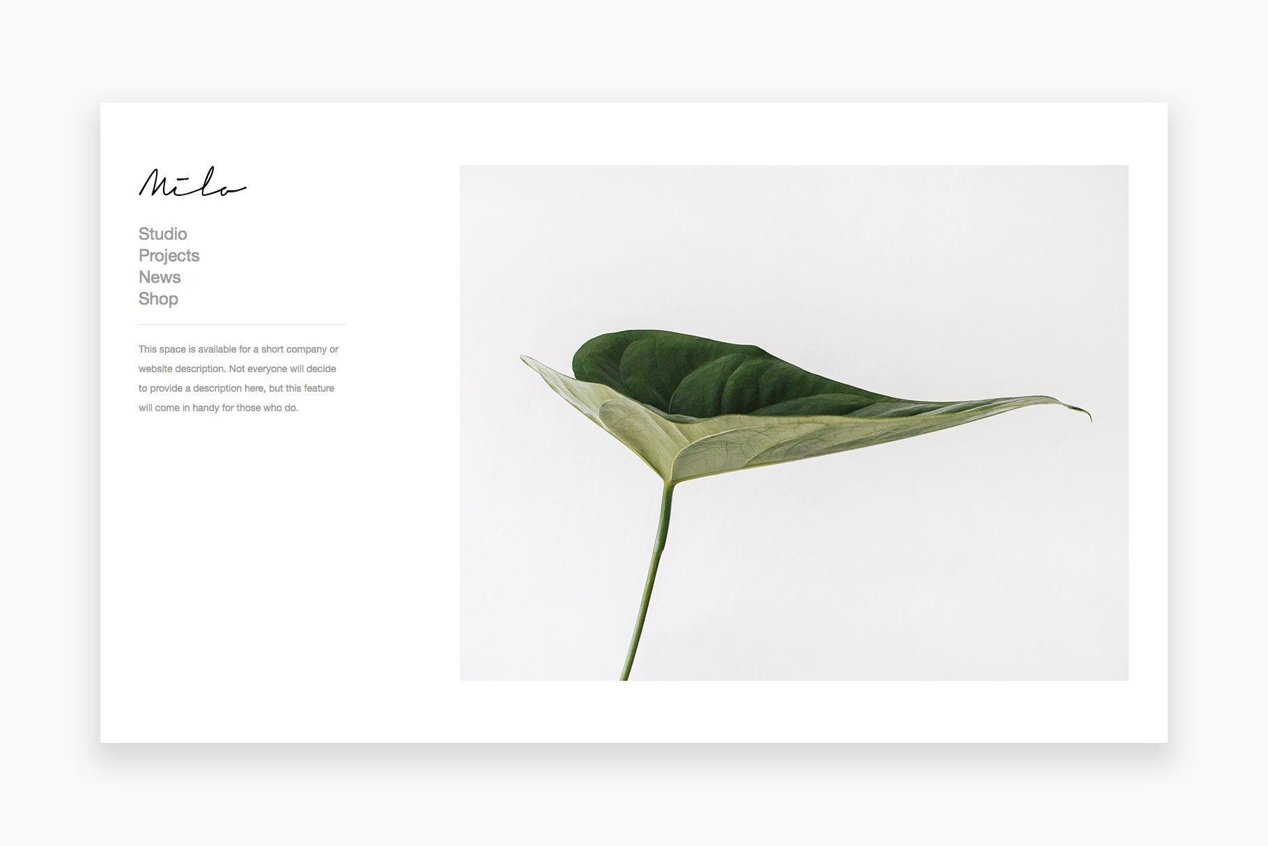 WHite minimalistic template with the green flower.