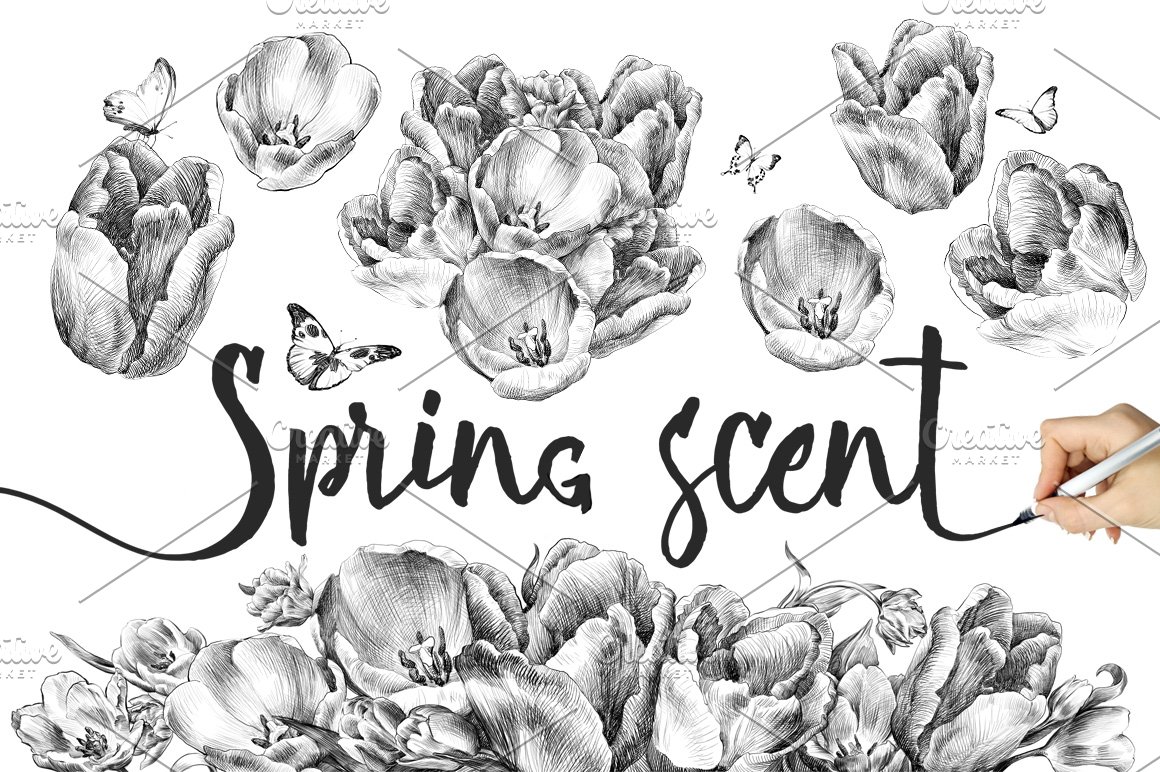 Black lettering "Spring scent" and black illustrations of tulips and butterflies on a white background.