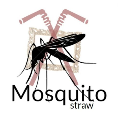 Mosquito Strav Logo Design cover image.