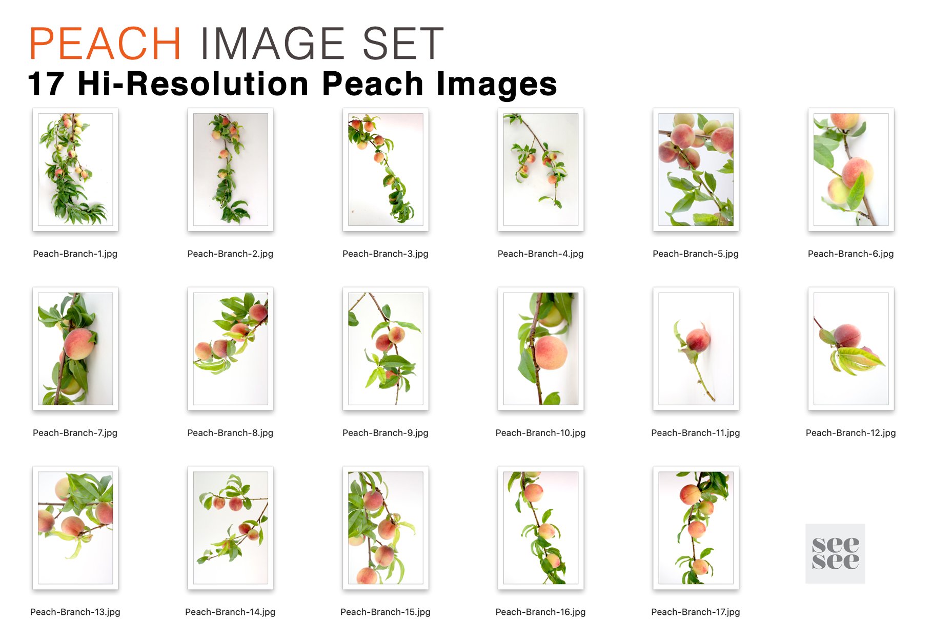 Cover image of 17 Hi-Res Peach Branch Image Set.