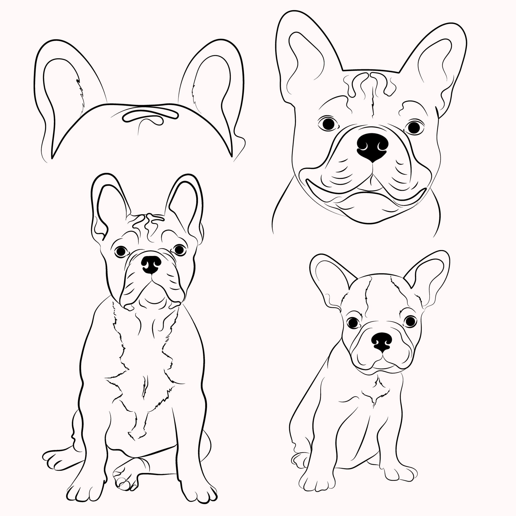Drawing of a dog's face with three different ears.