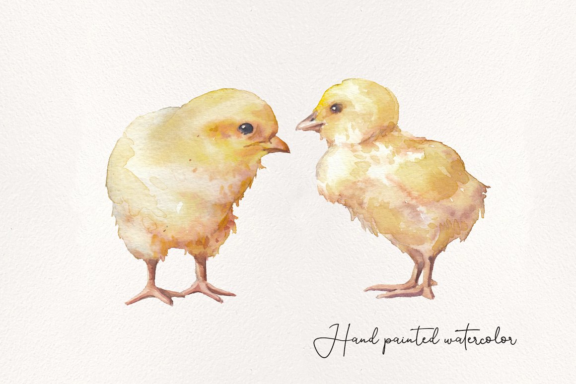Illustration of 2 chickens and black lettering "Hand painted watercolor" on a gray background.