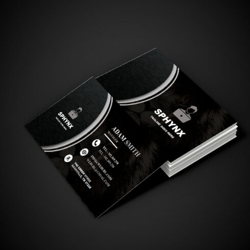 Creative Black Business Card Design with Lion Background cover image.