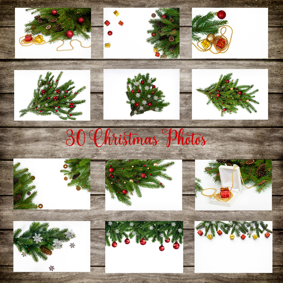 Collection of Christmas Tree Branches created by tatianabond.