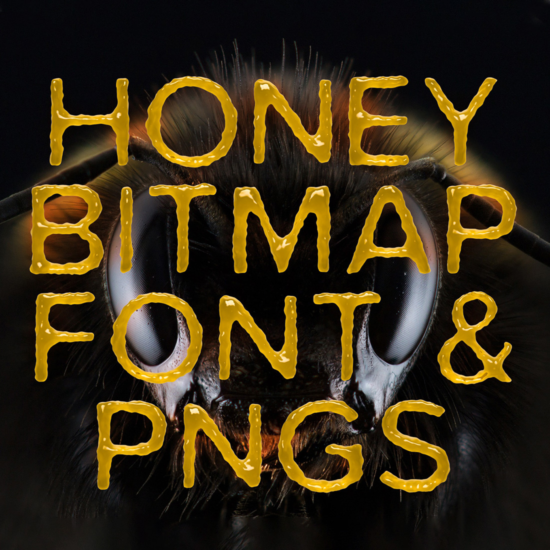 Ms Honey Bitmap Font and PNG cover image.
