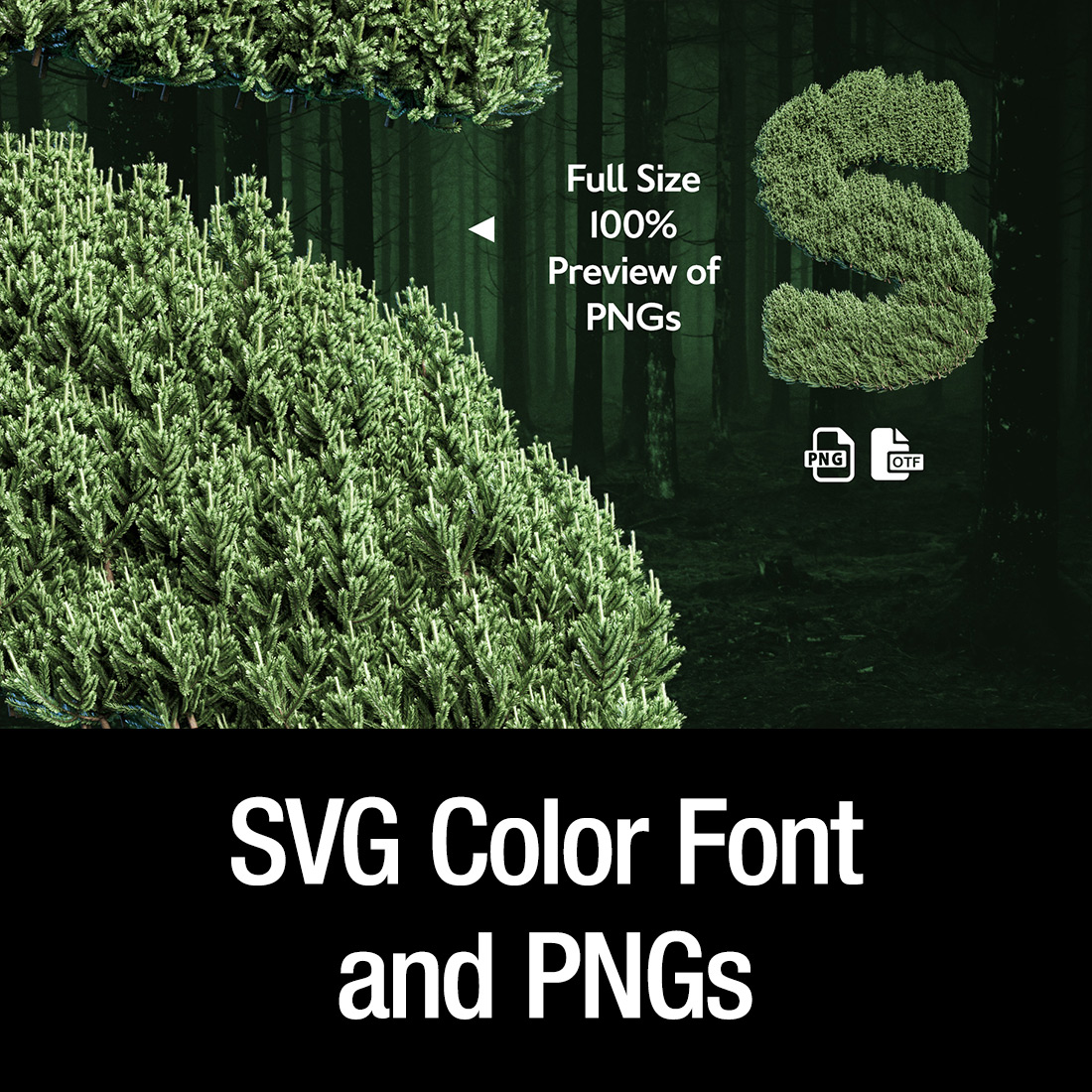 Font Bitmap MS Pine Design cover image.