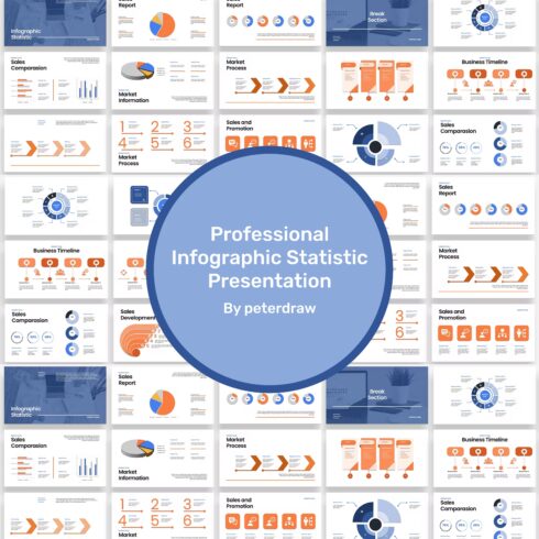 Professional Infographic Statistic Presentation - main image preview.