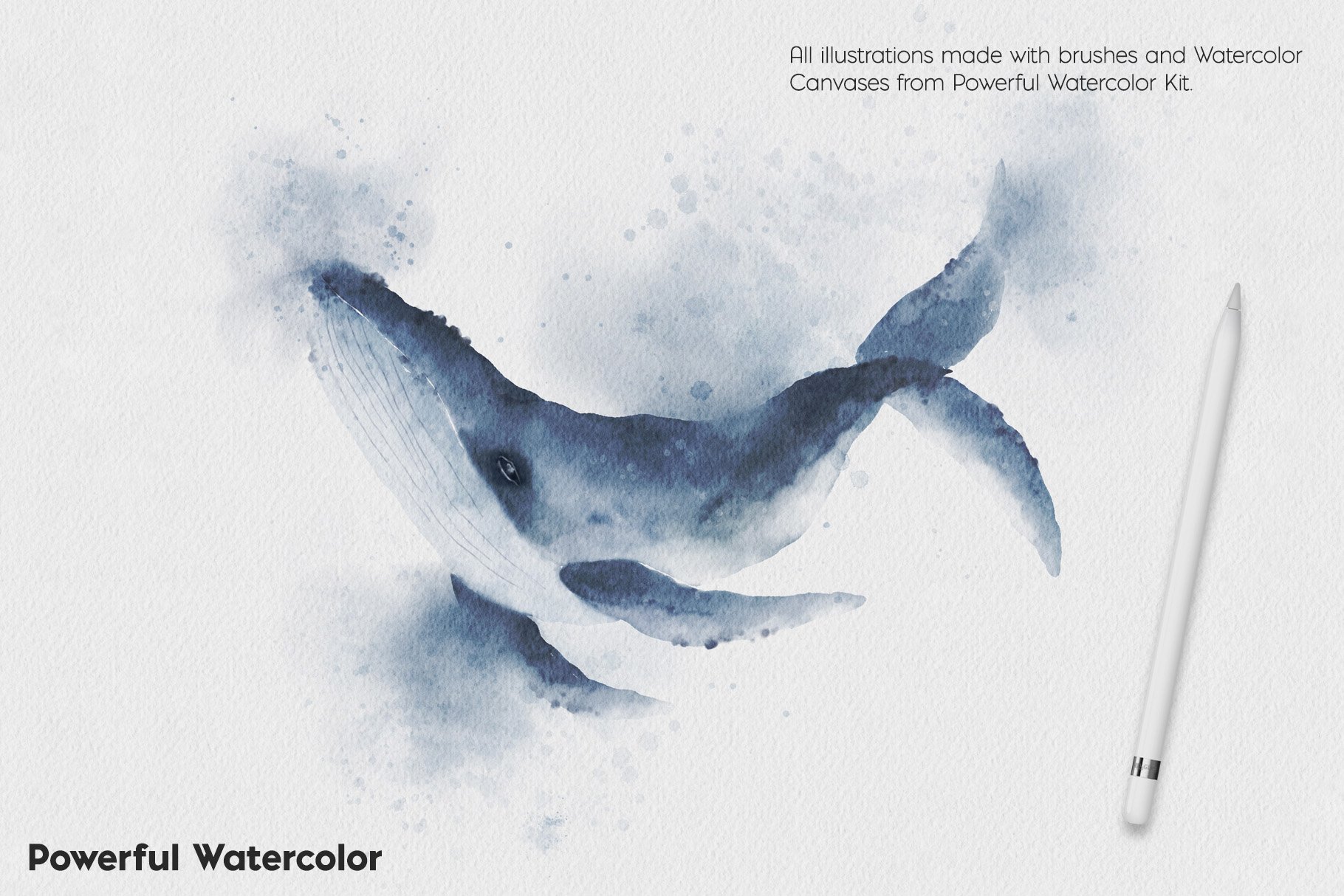 So nice watercolor blue whale.
