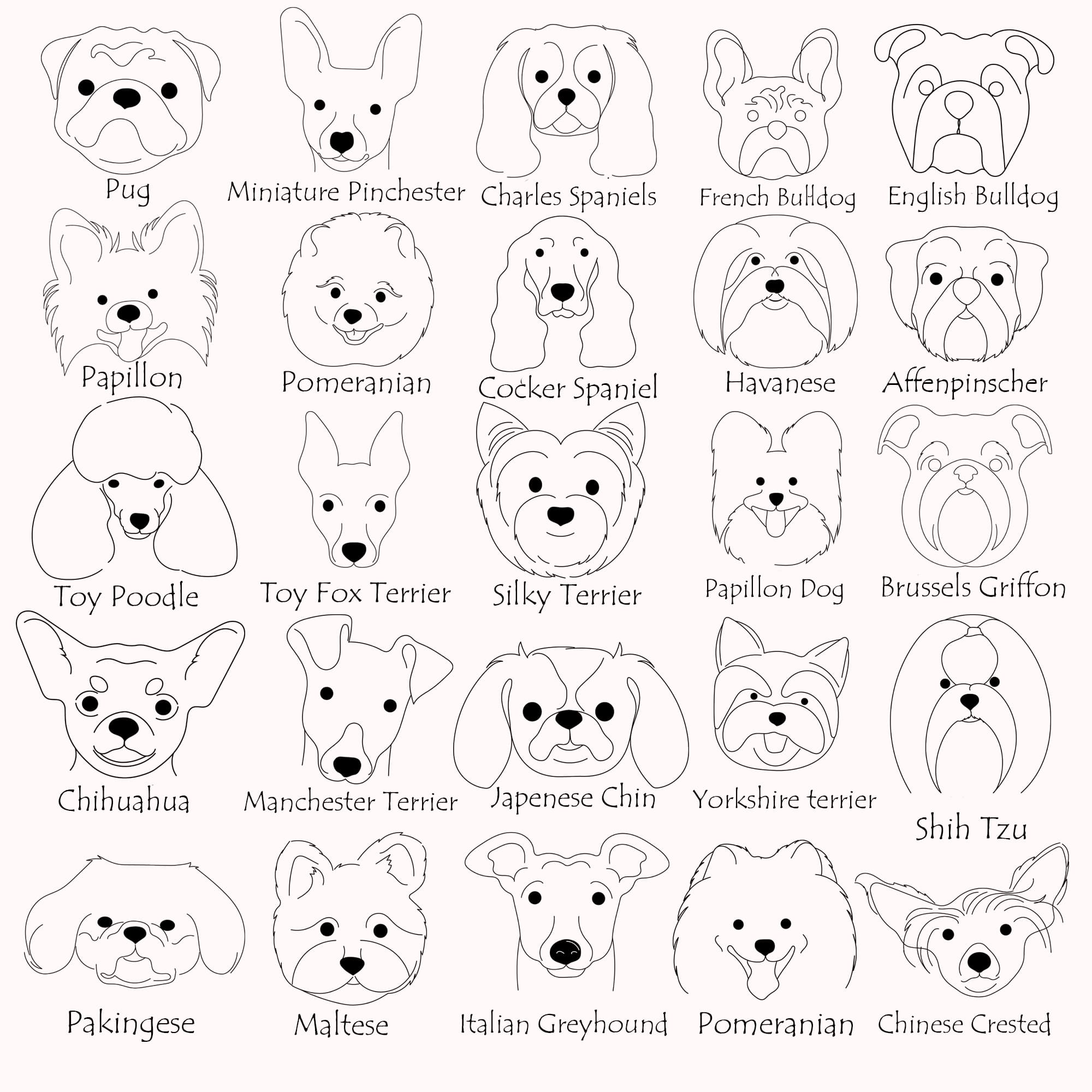 Drawing of different types of dogs.