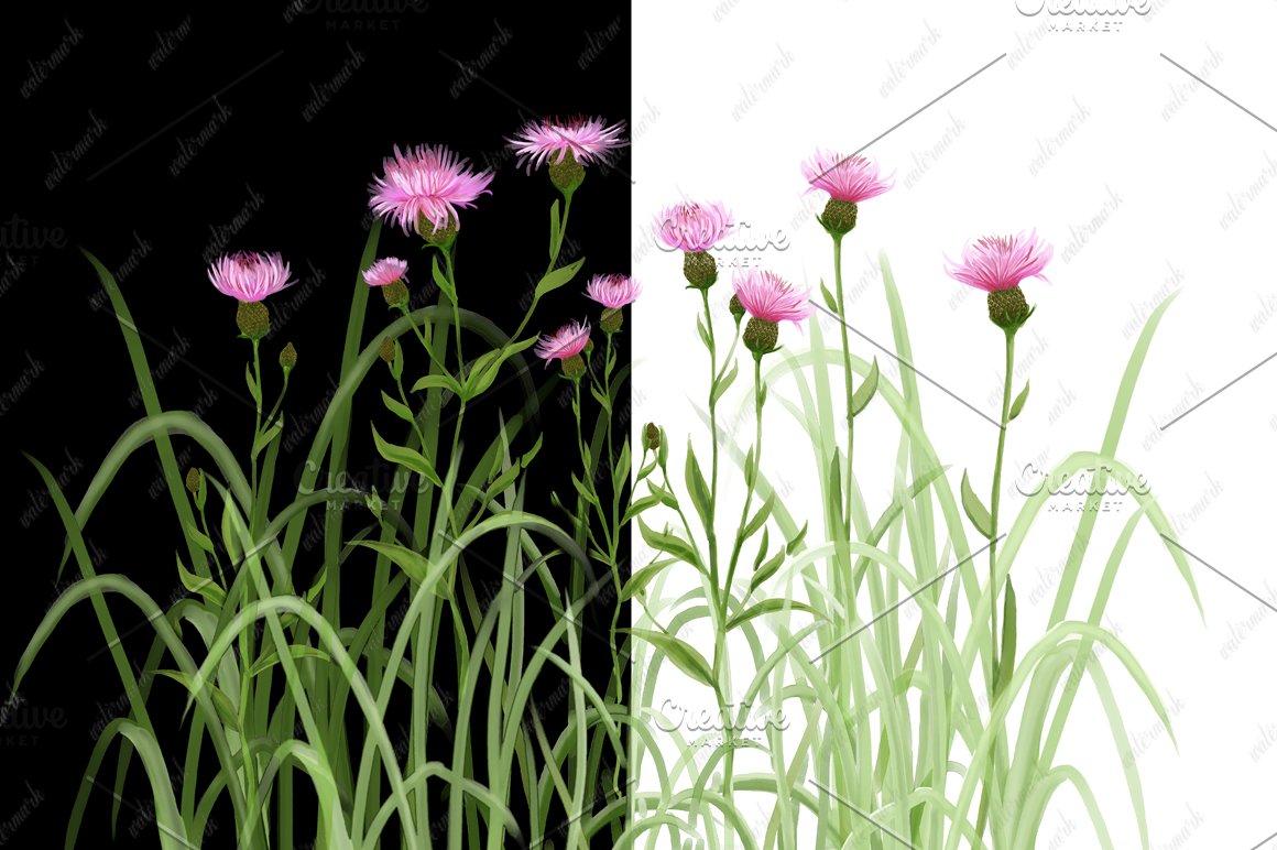 SImple wild flowers in to versions.