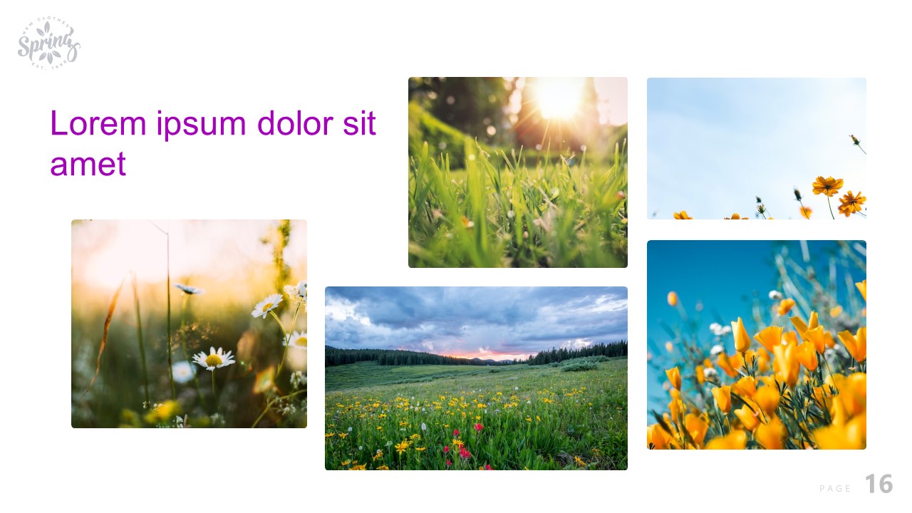 Image of a colorful presentation slide on the theme of spring.