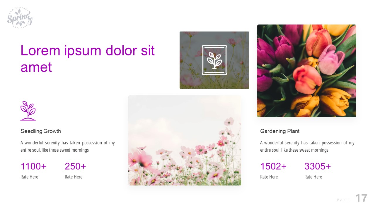 Image of a gorgeous presentation slide on the theme of spring.