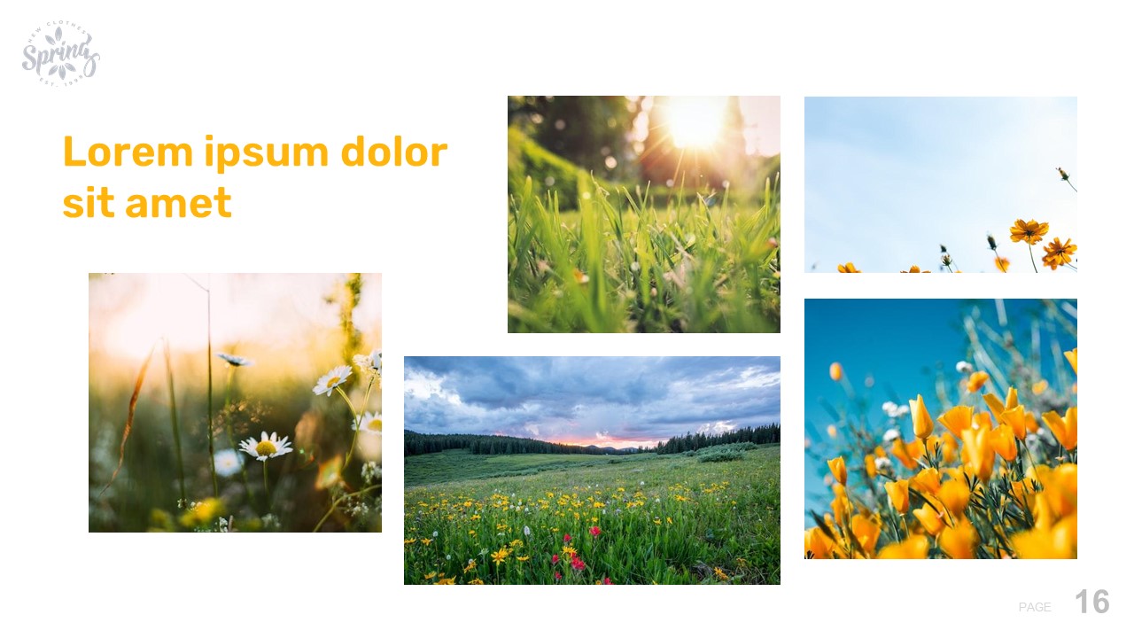 Image of a gorgeous presentation slide on the theme of spring.