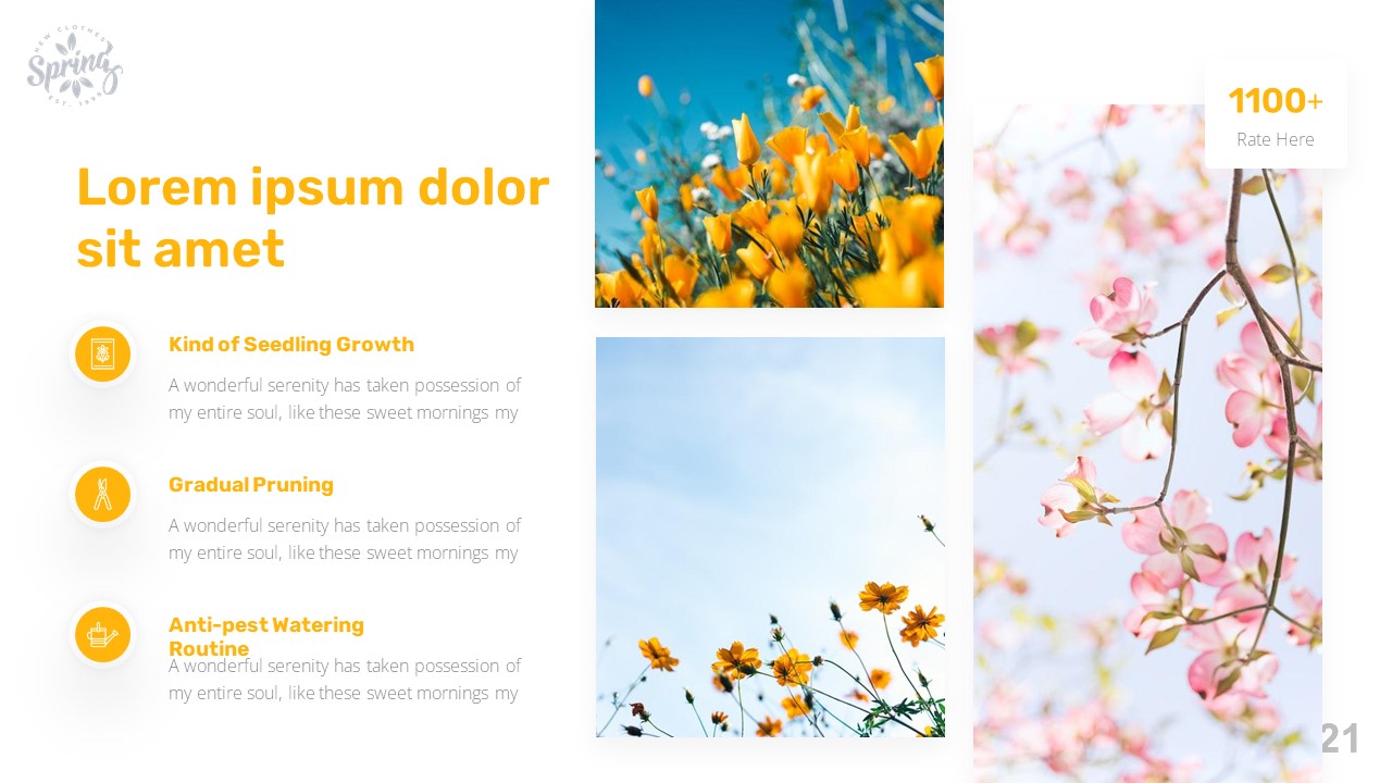 Image of a gorgeous presentation slide on the theme of spring.