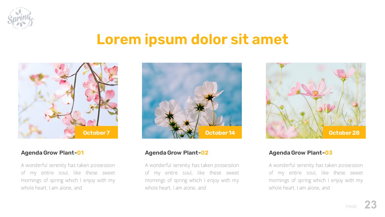 Image of a colorful presentation slide on the theme of spring.