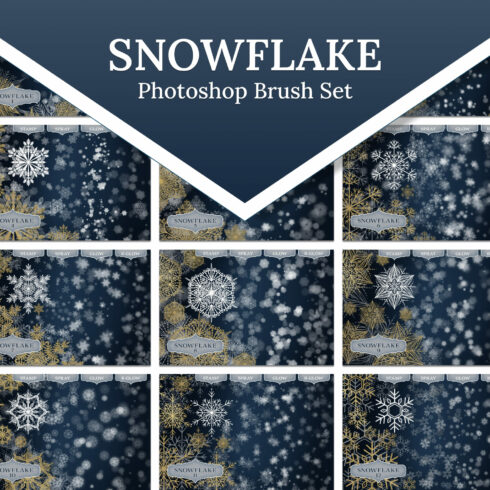 Snowflake Photoshop Brush set.
