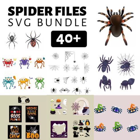 Spider SVG Files Bundle - main image preview.