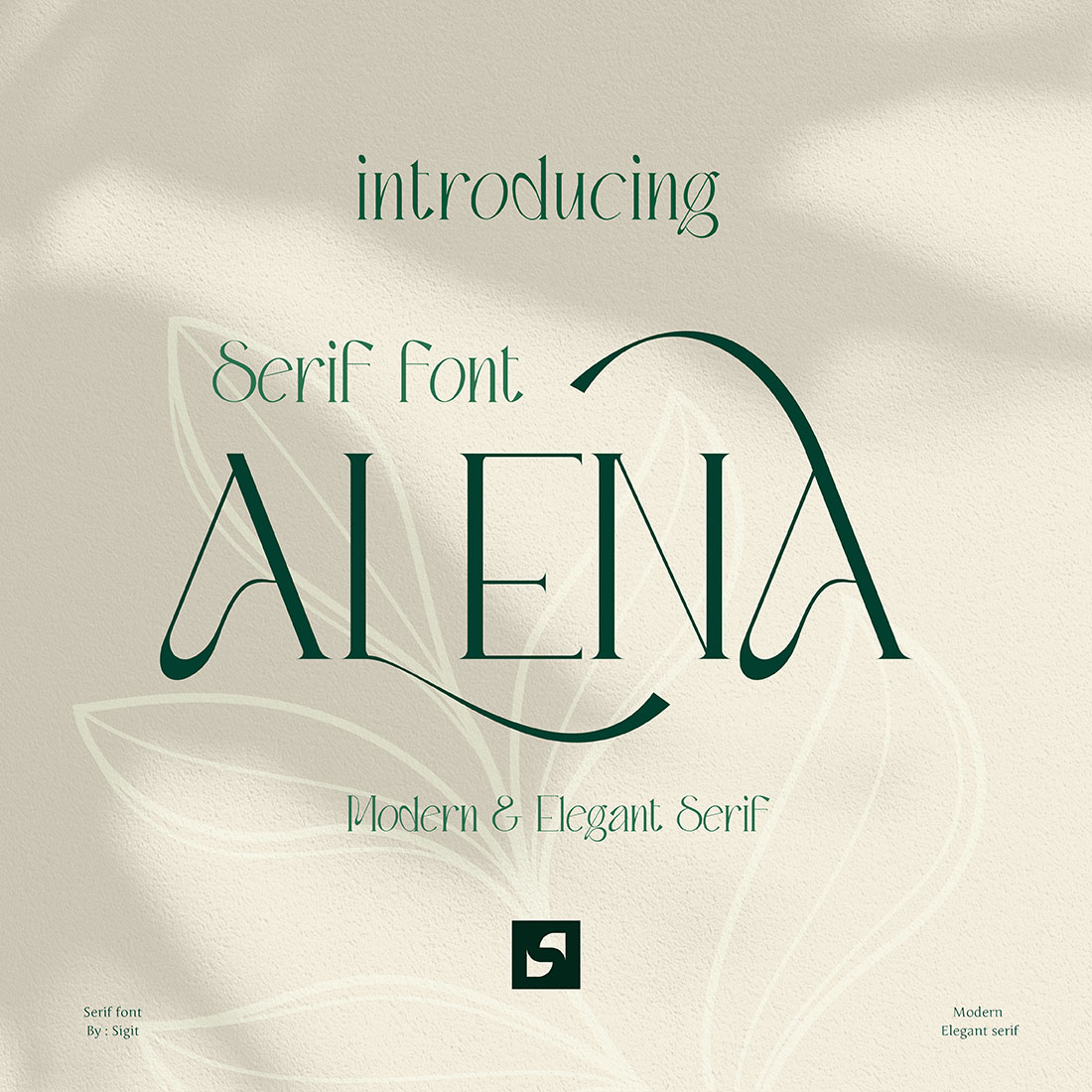 Alena Serif Font main cover.