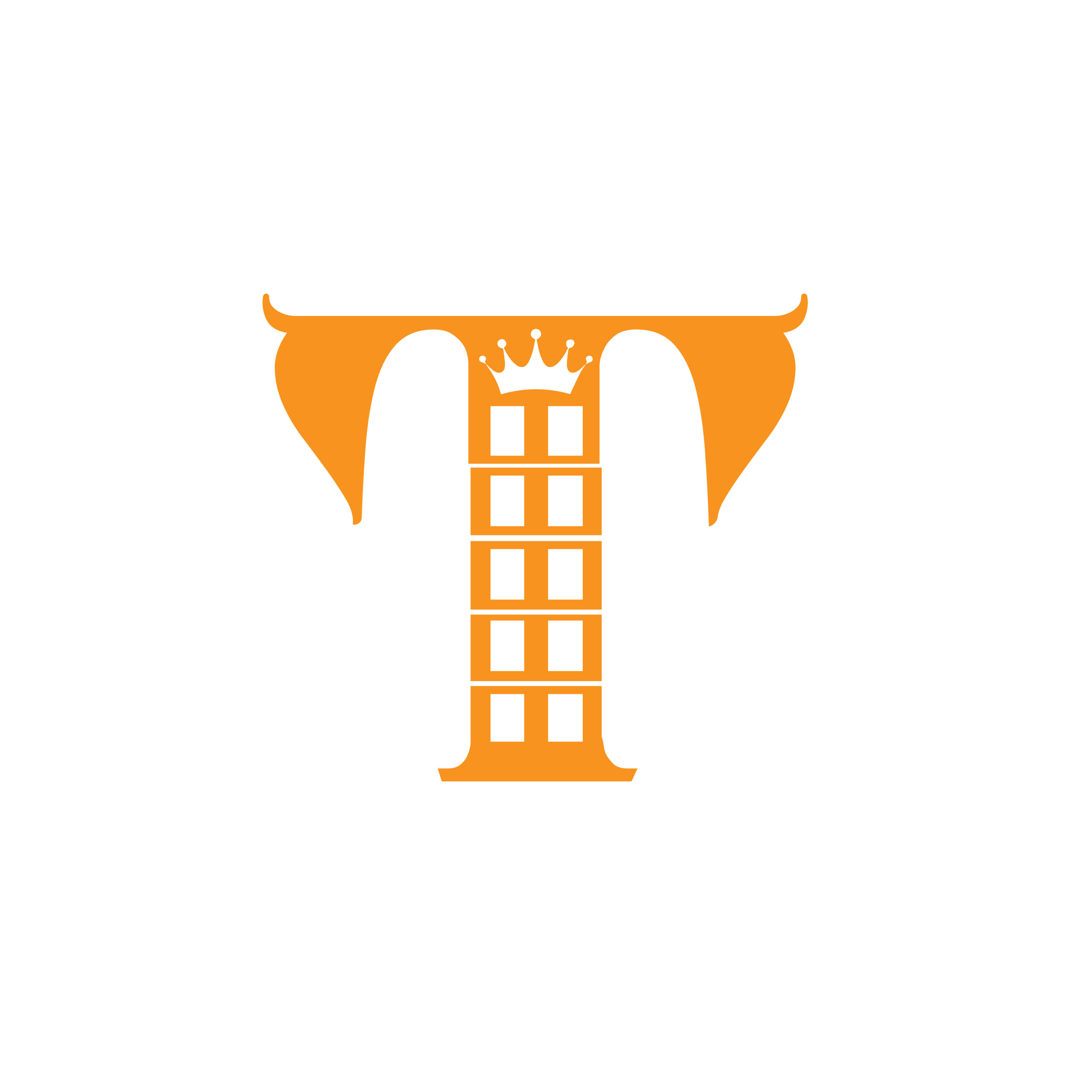 T Letter Orange Logo Design cover image.