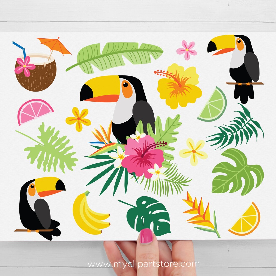 Tropical Toucans Clipart + SVG main cover image.
