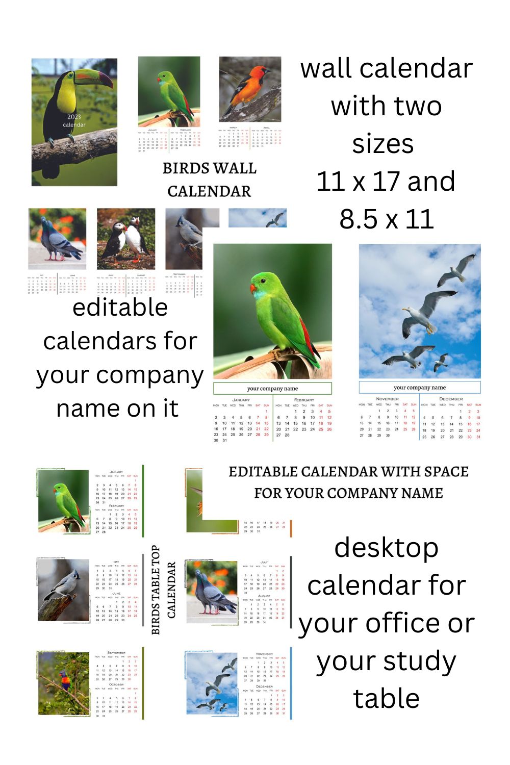 Wall calendar with two sizes 11 x 17 and 8.5 x 11.