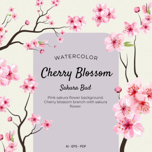 Watercolor Cherry Blossom Sakura Bud.