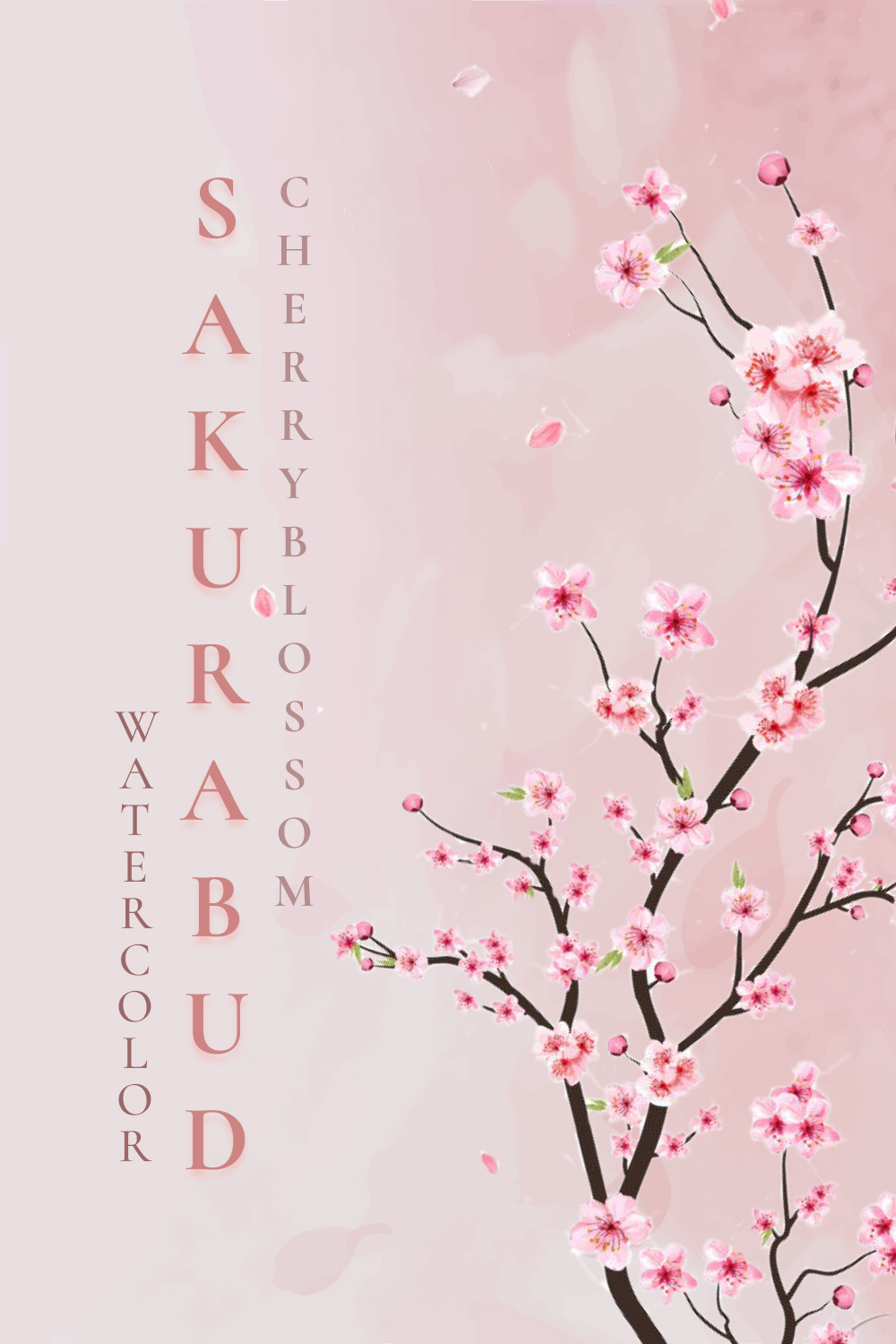 watercolor cherry blossom sakura bud pinterest 711