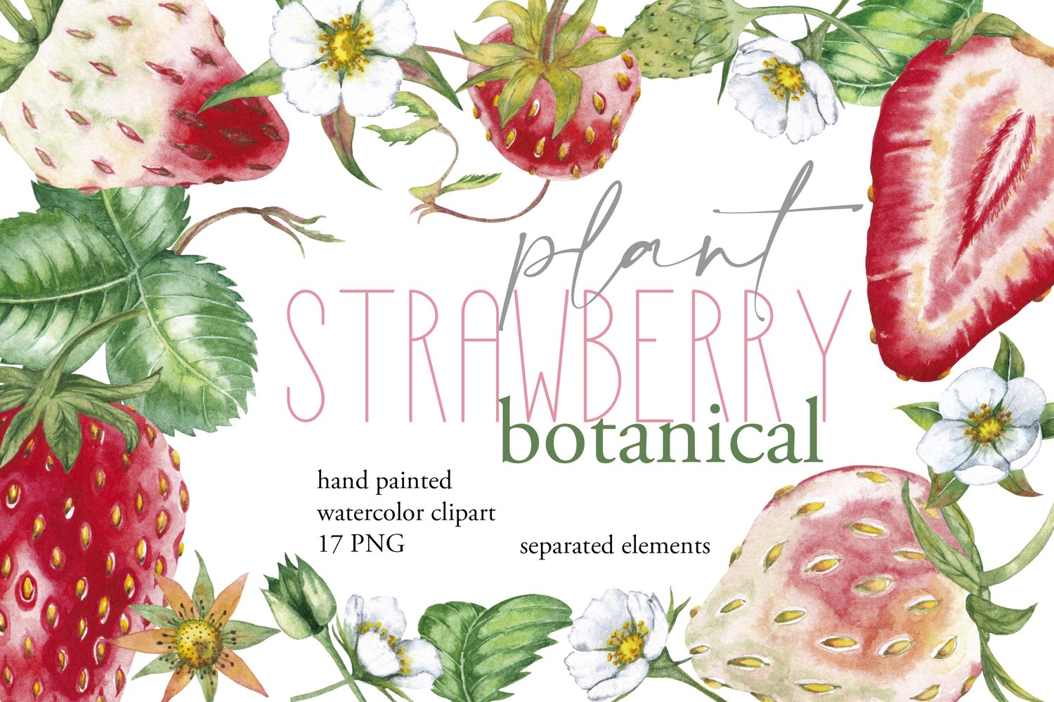 Cover image of Watercolor Sweet Strawberry Clipart.