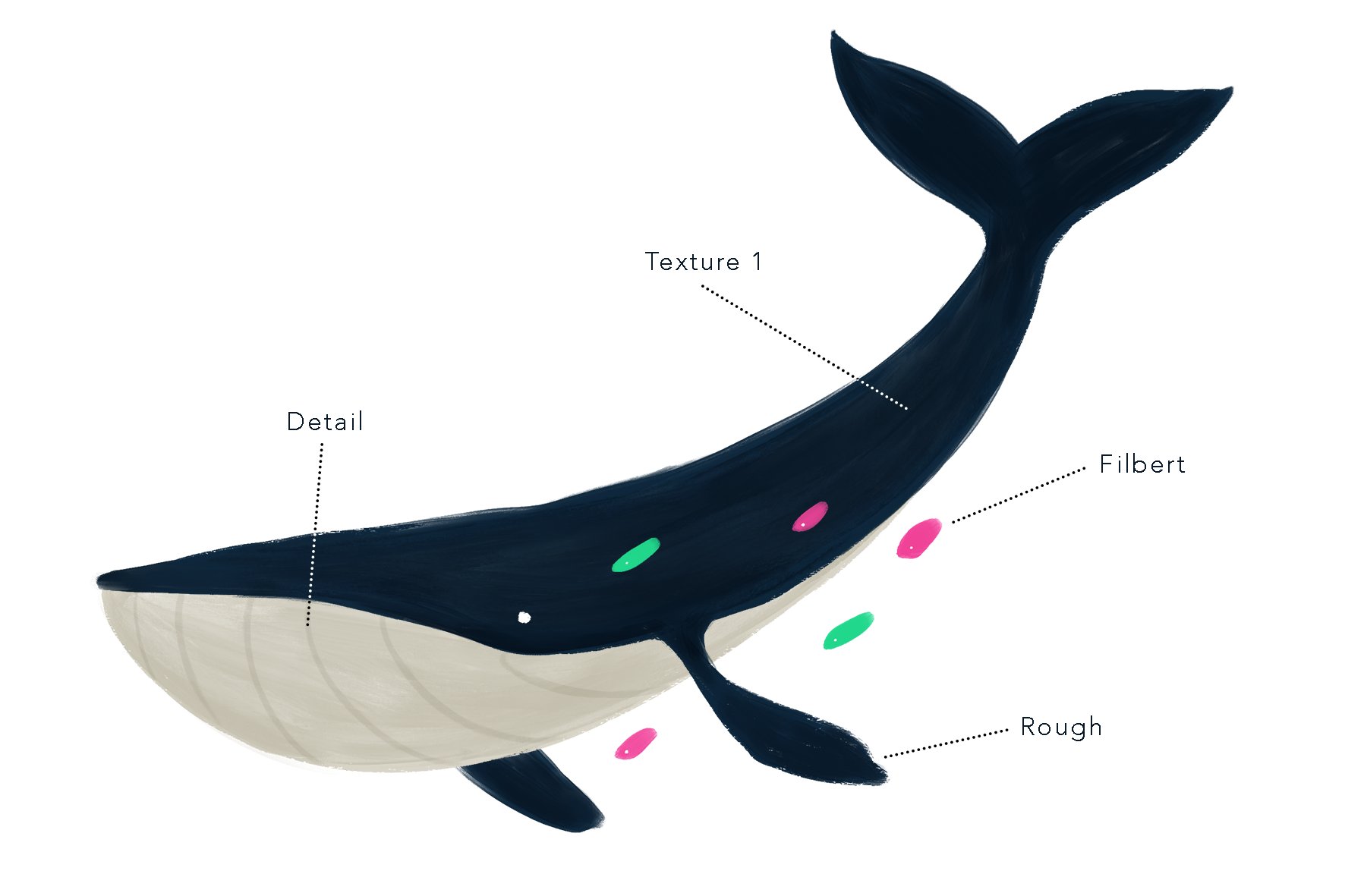 Some colorful spots for the whale.