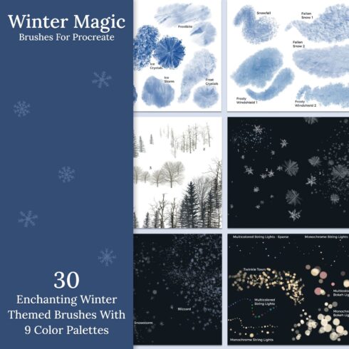 Winter Magic Brushes for Procreate - main image preview.