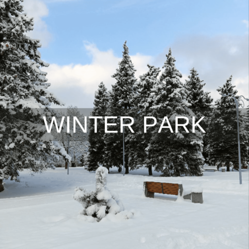 Winter Park - main image preview.