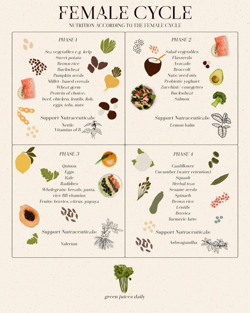 Women's Health Guide MasterBundles