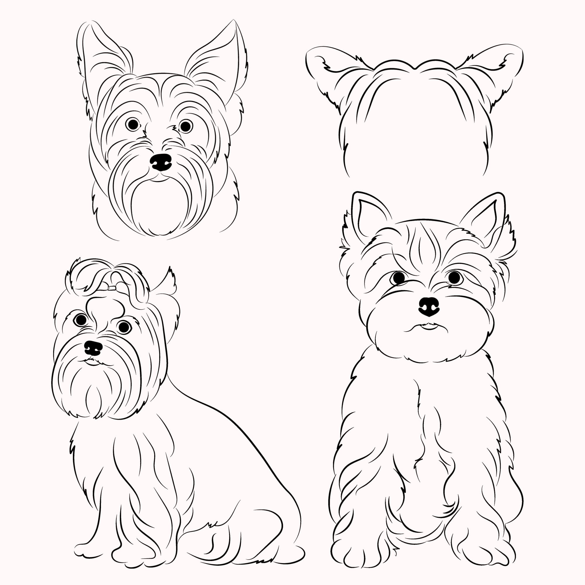 Set of three dogs with different faces.