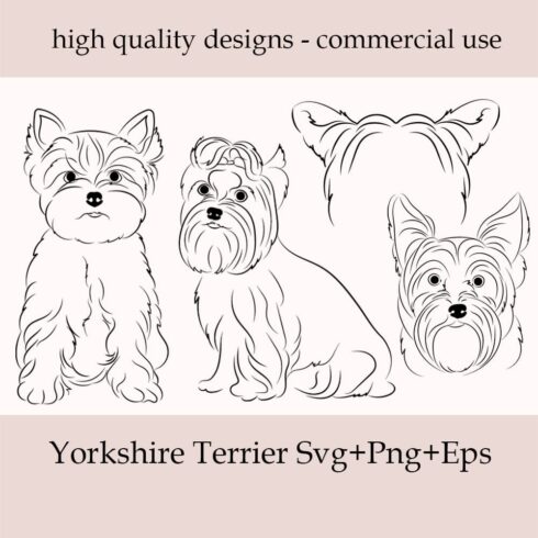 Yorkshire terrier coloring page with three dogs.