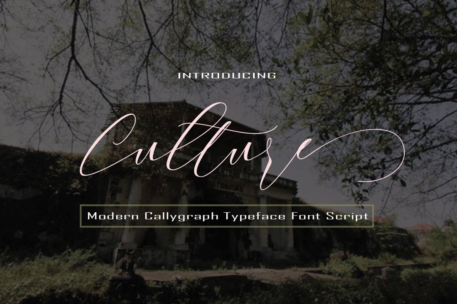 Cover image of Culture font.