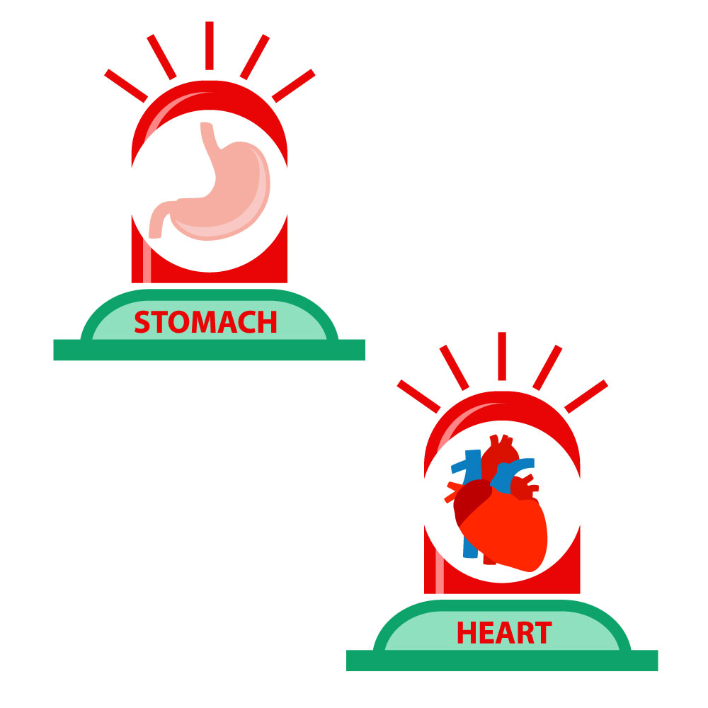 Stomach and Heart Icons Design preview image.