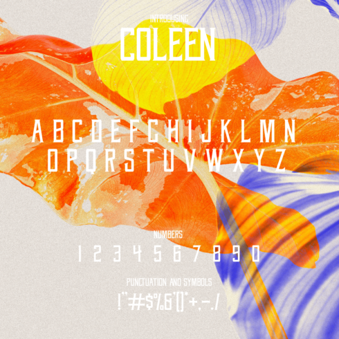 Coleen Font.