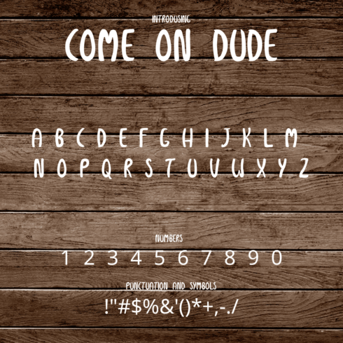 Come_On_Dude Font.