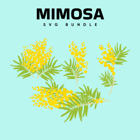 Mimosa SVG.
