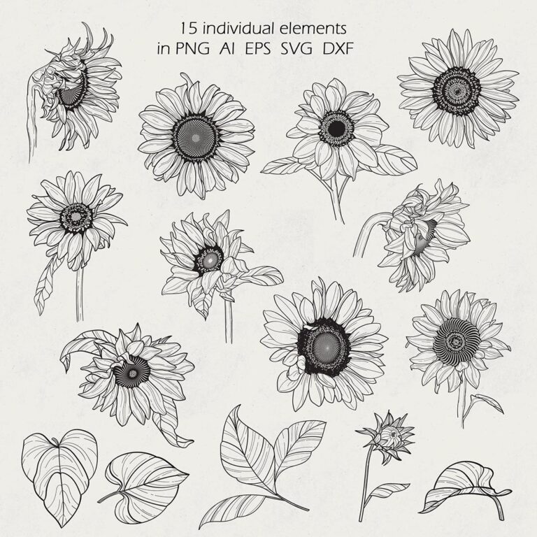 Sunflower Line Art Collection - MasterBundles