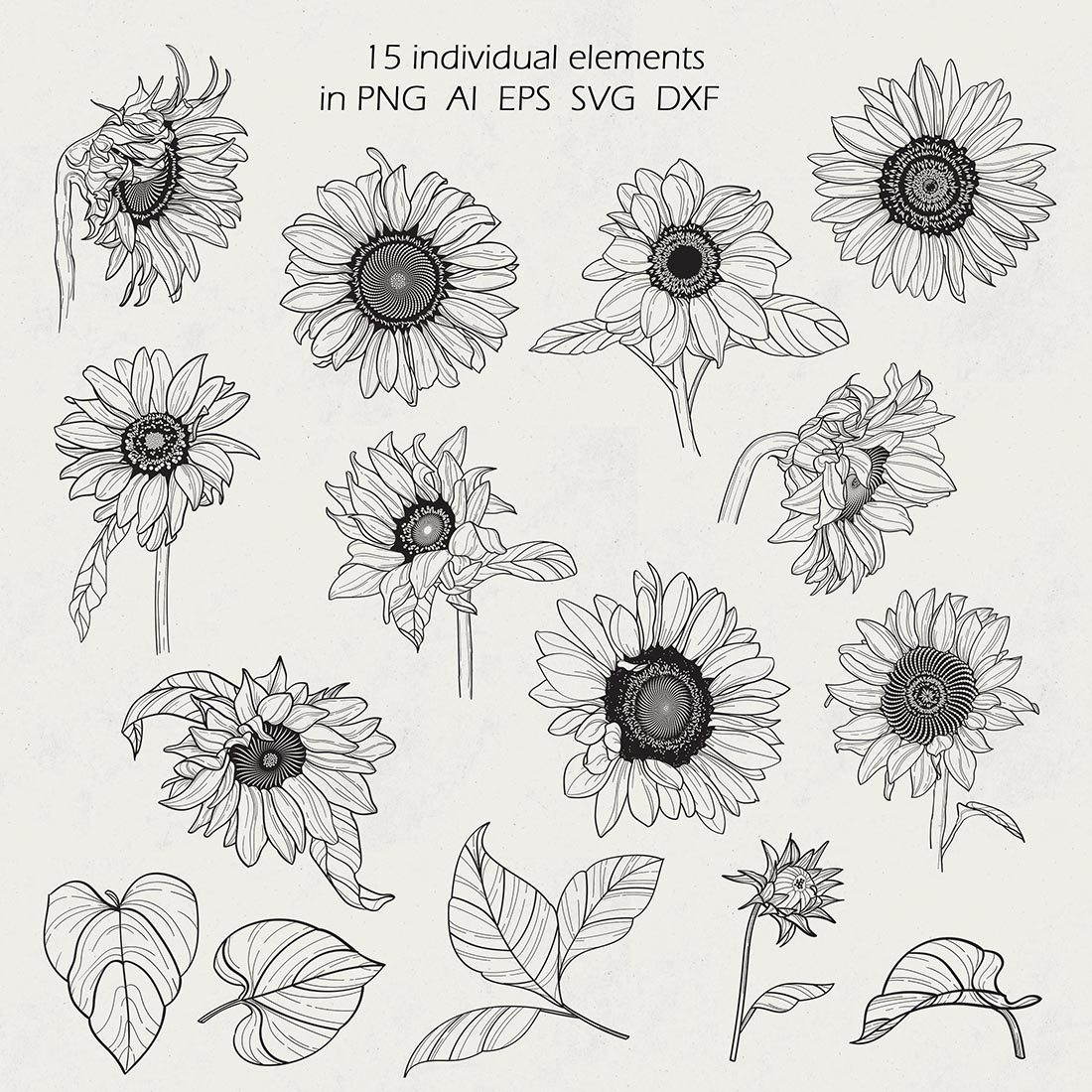 Hand Drawn Sunflower Line Art Collection cover image.