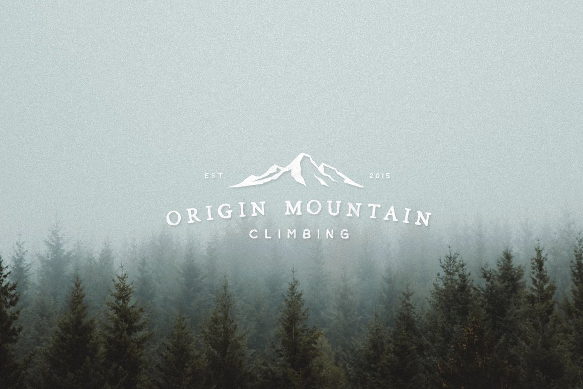 White lettering and mountain logo icon on the vintage background of forest.